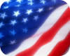 Osnivanje američkih firmi
